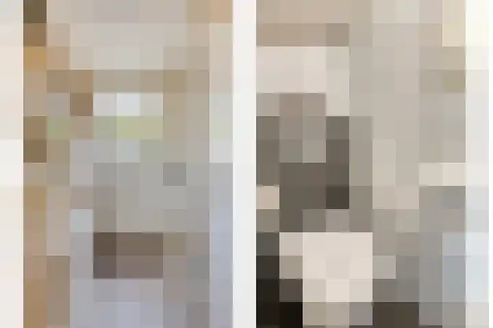 Baronielaan 1 Eindhoven thumbnail 5