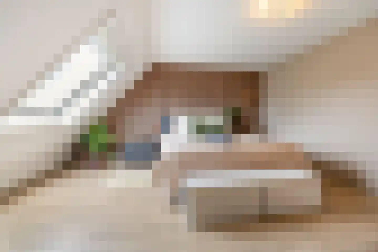 Baronielaan 10 Wassenaar thumbnail 11