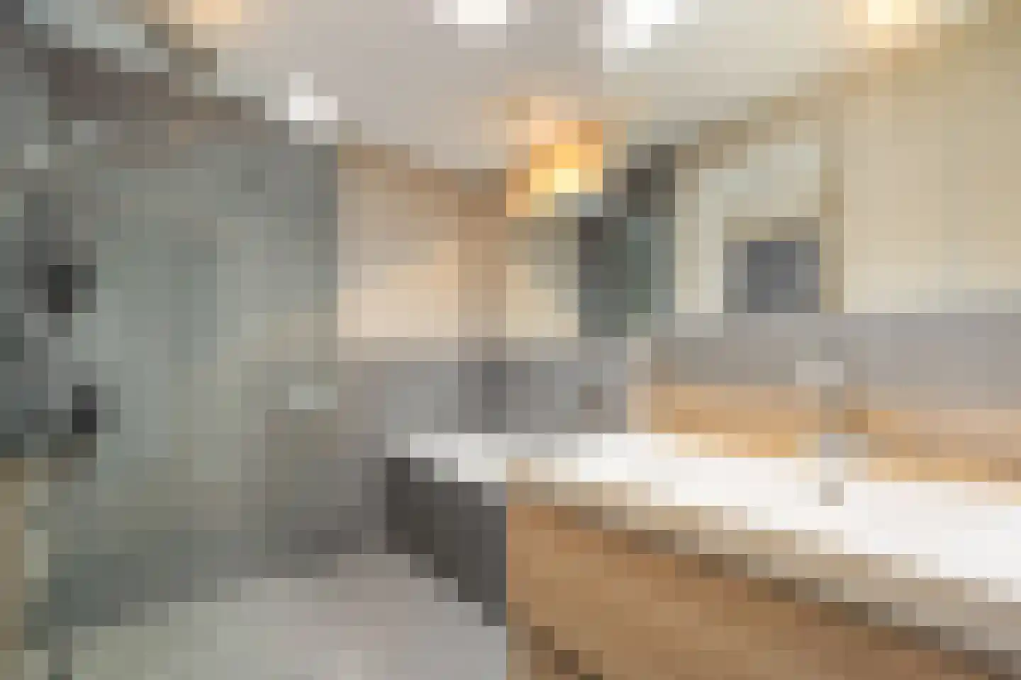 Baronielaan 10 Wassenaar thumbnail 15