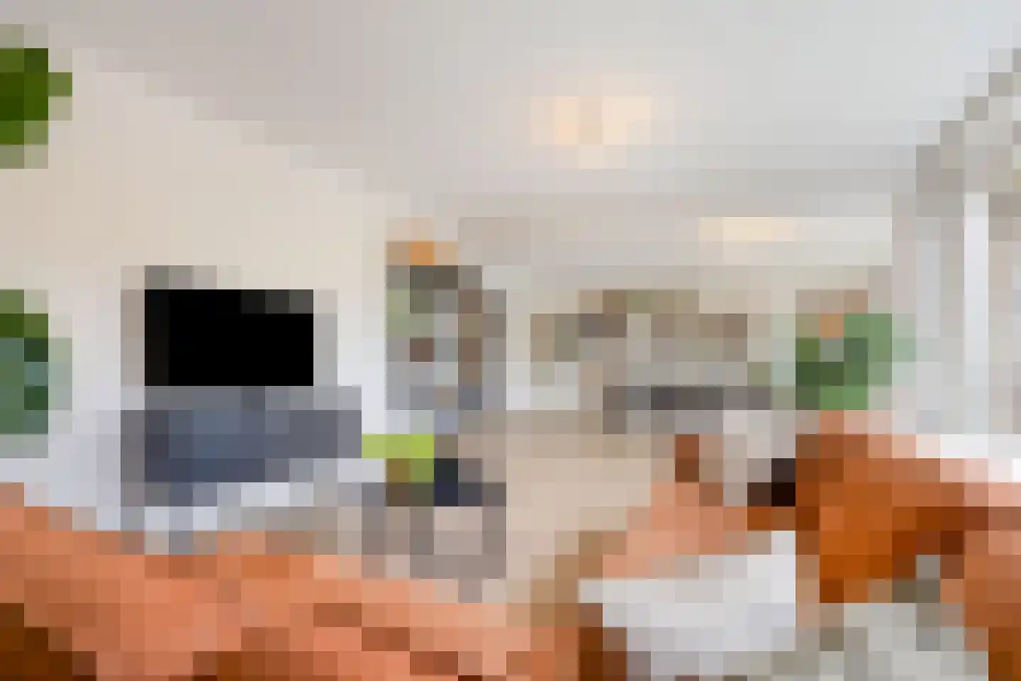 Baronielaan 10 Wassenaar thumbnail 6