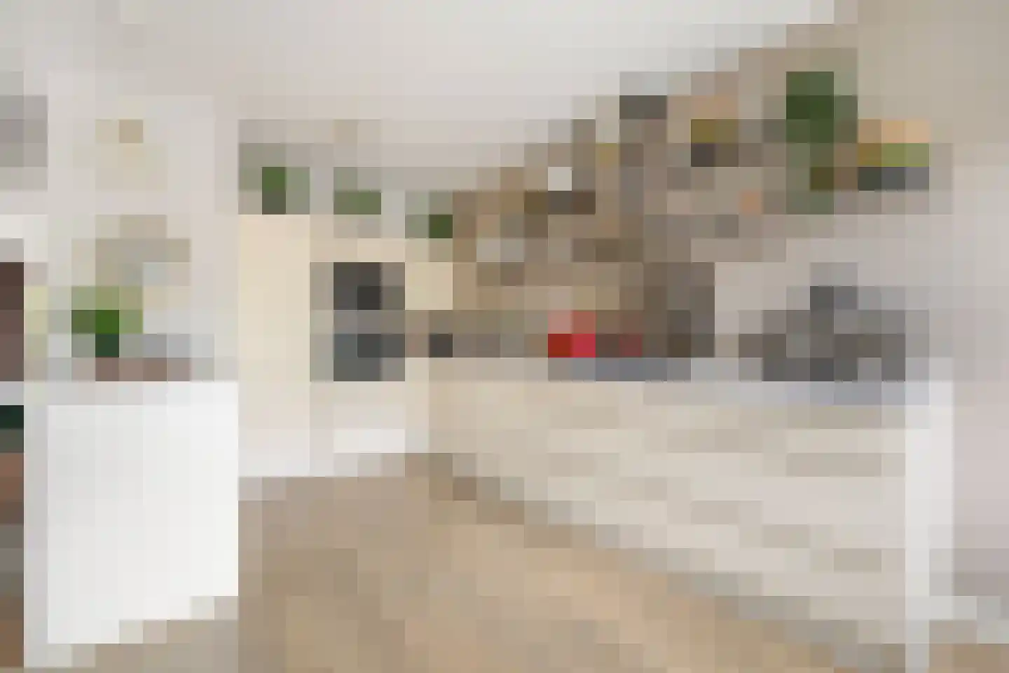 Baronielaan 10 Wassenaar thumbnail 8