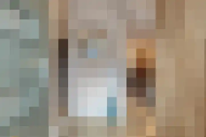 Baronielaan 102 Goirle thumbnail 12