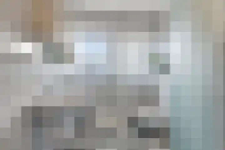 Baronielaan 102 Goirle thumbnail 17