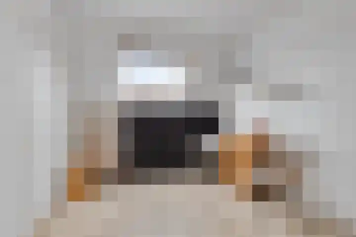 Baronielaan 102 Goirle thumbnail 24