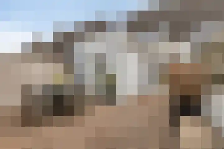 Baronielaan 102 Goirle thumbnail 28