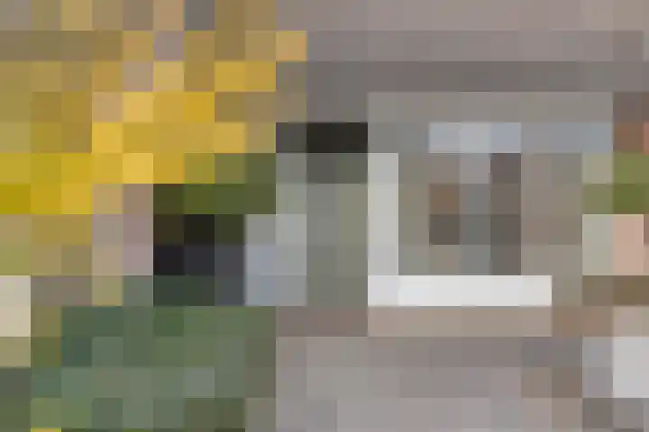 Baronielaan 102 Goirle thumbnail 30
