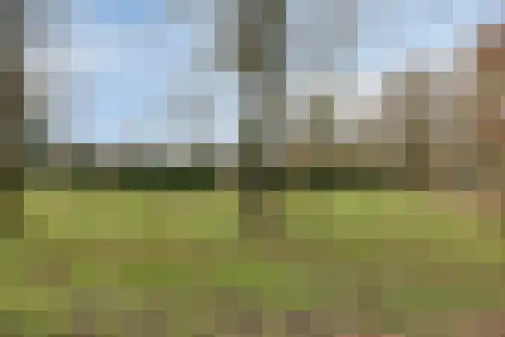 Baronielaan 102 Goirle thumbnail 35
