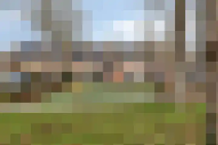 Baronielaan 102 Goirle thumbnail 36