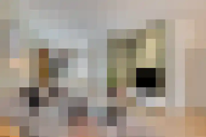 Baronielaan 102 Goirle thumbnail 4