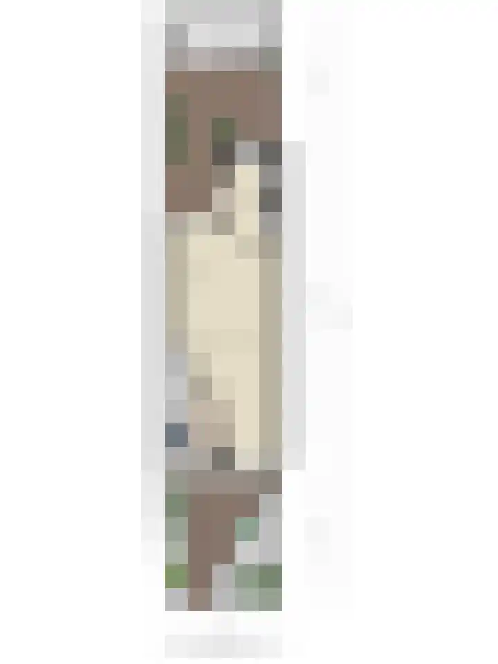 Baronielaan 102 Goirle thumbnail 42