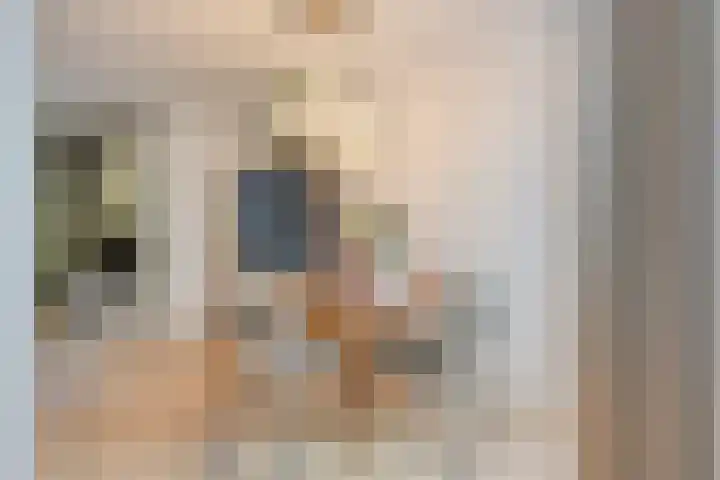 Baronielaan 102 Goirle thumbnail 6