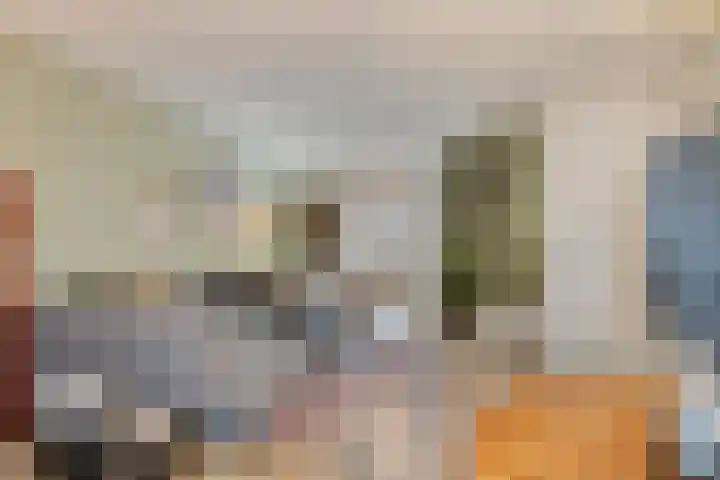 Baronielaan 102 Goirle thumbnail 7