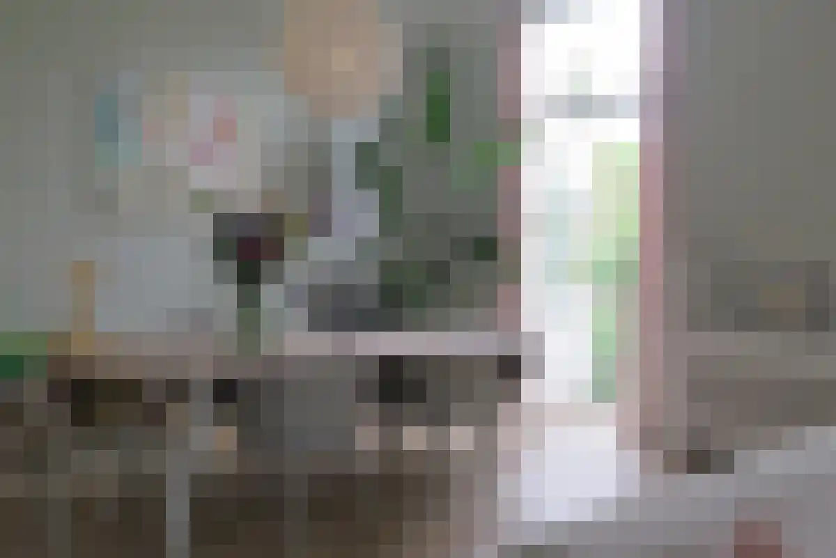 Baronielaan 119 Breda thumbnail 6