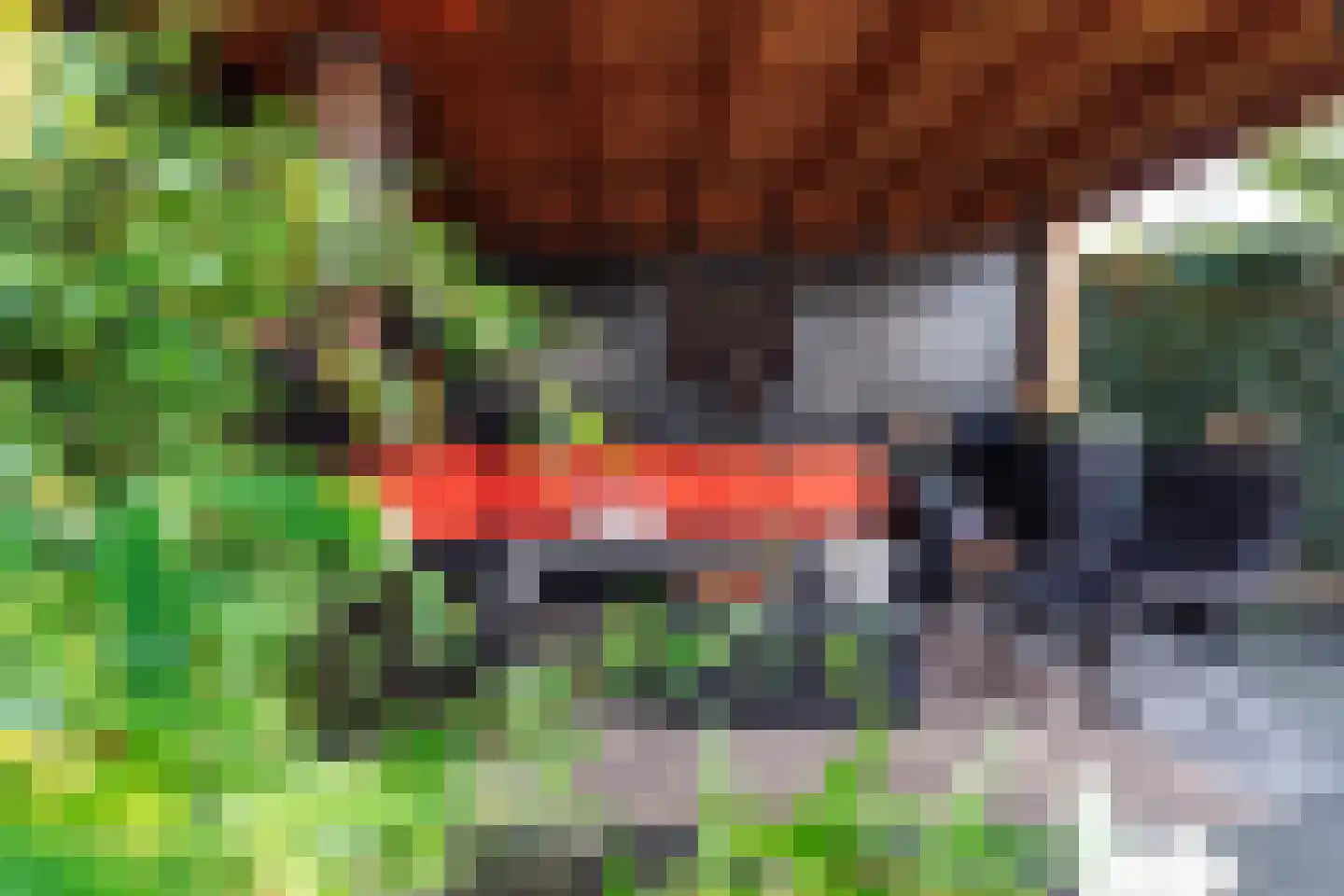 Baronielaan 12 Son en Breugel thumbnail 46