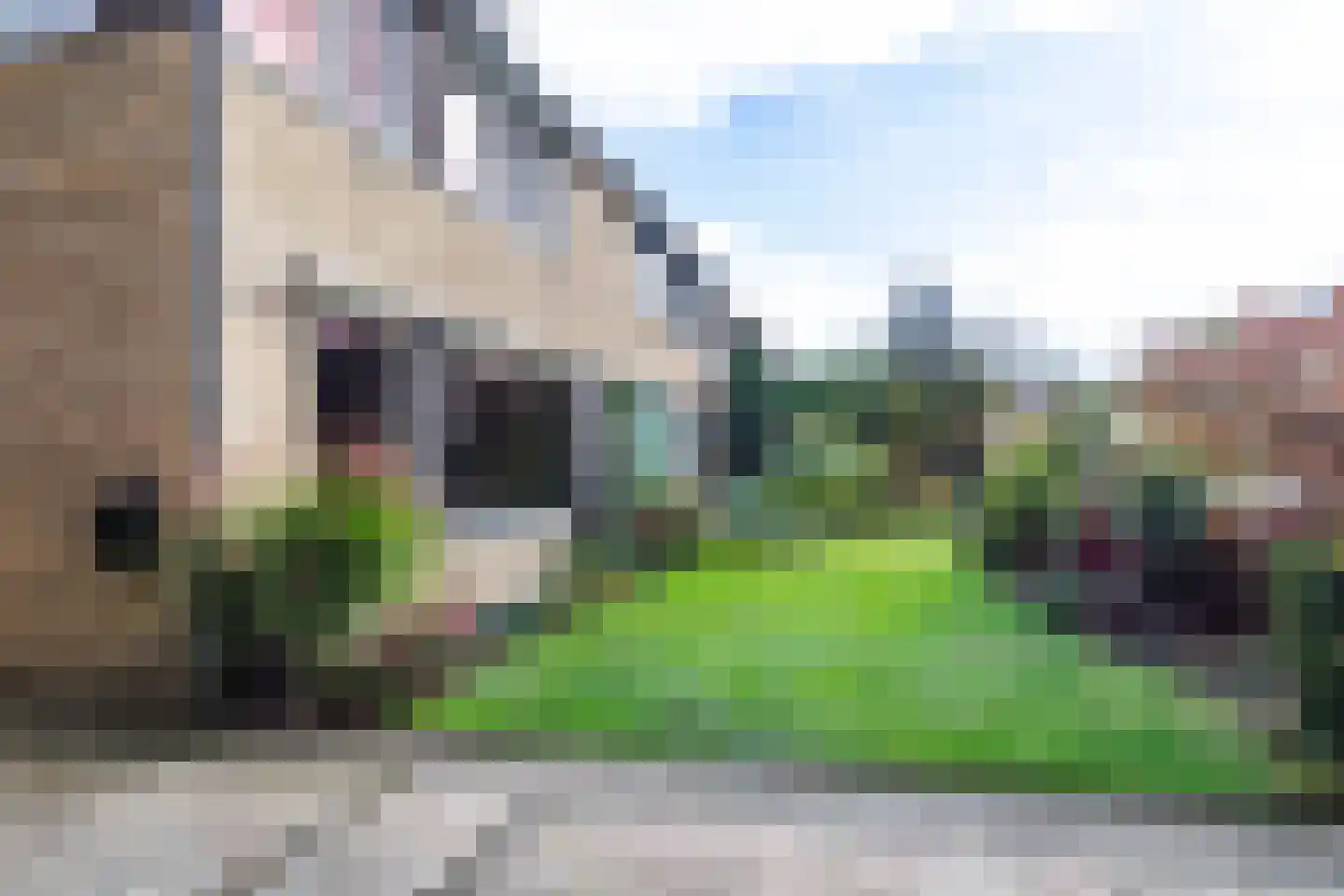 Baronielaan 12 Son en Breugel thumbnail 50