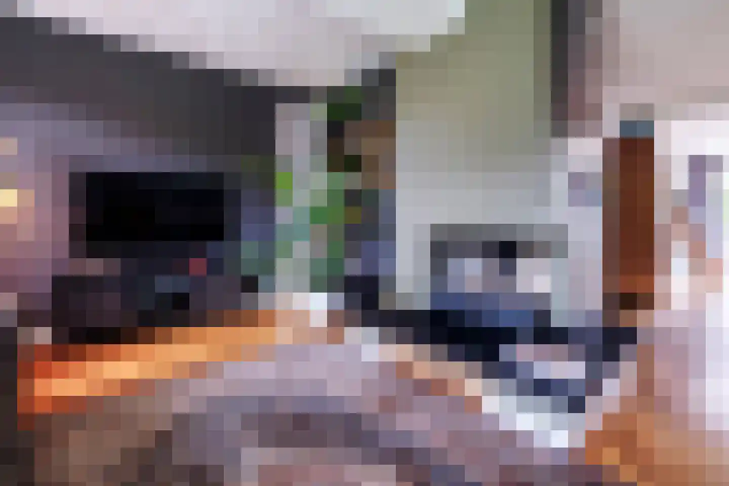 Baronielaan 12 Son en Breugel thumbnail 9