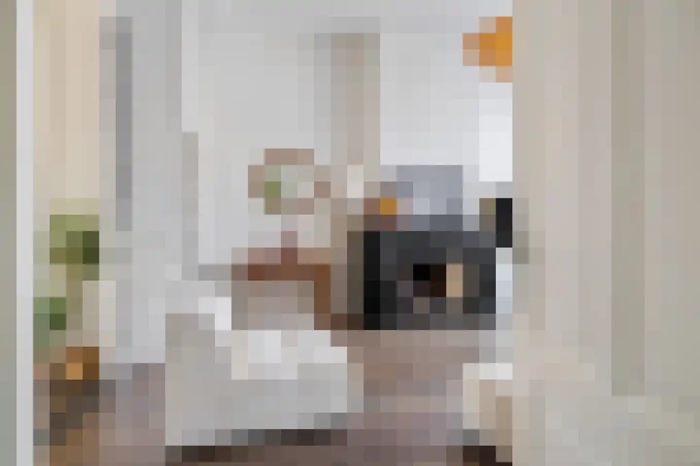 Baronielaan 124 Breda thumbnail 15