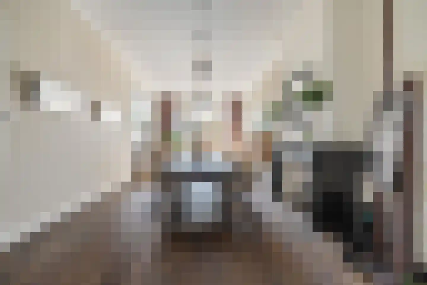 Baronielaan 124 Breda thumbnail 24