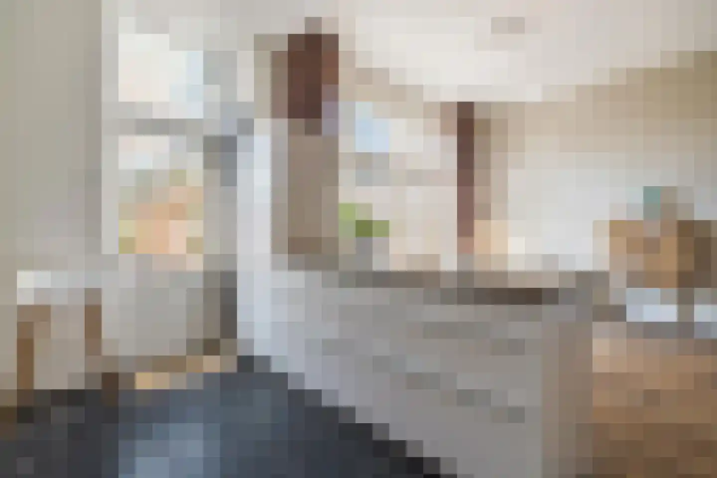 Baronielaan 124 Breda thumbnail 33