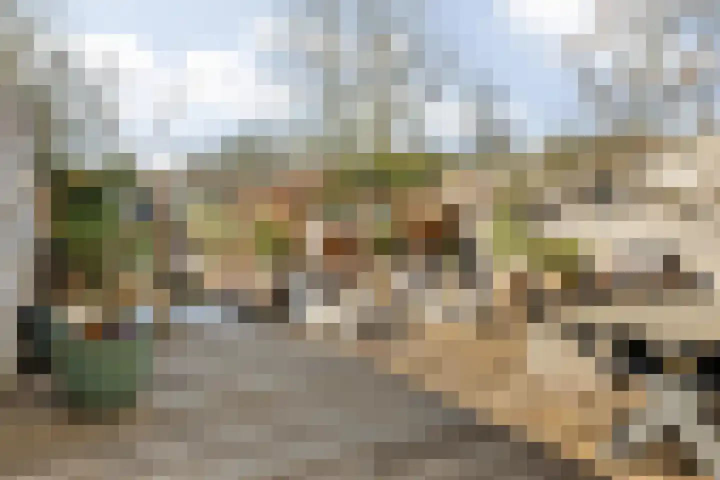 Baronielaan 124 Breda thumbnail 61