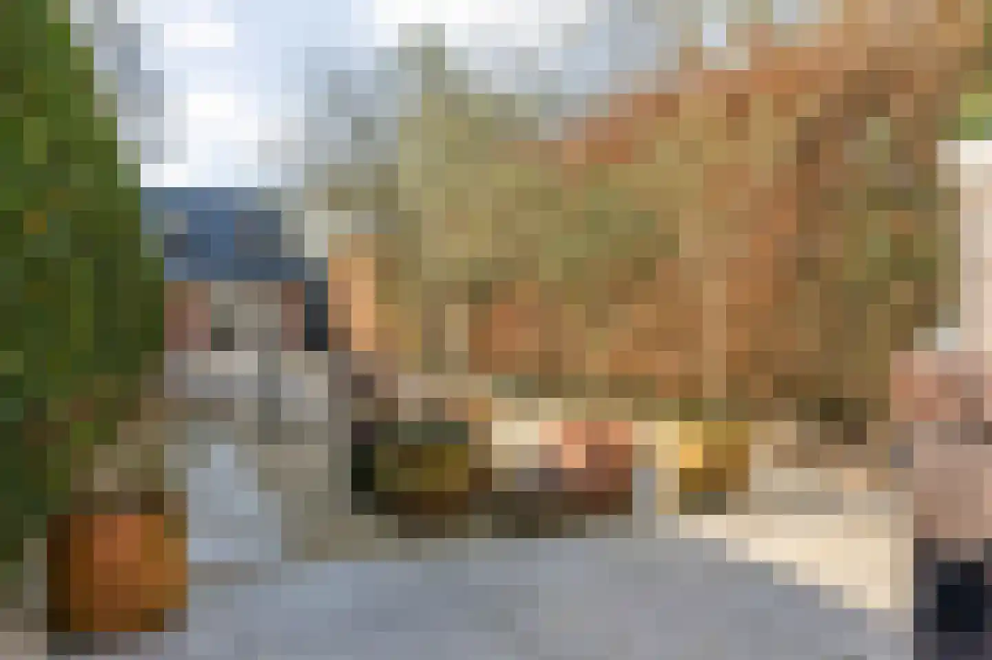 Baronielaan 124 Breda thumbnail 62