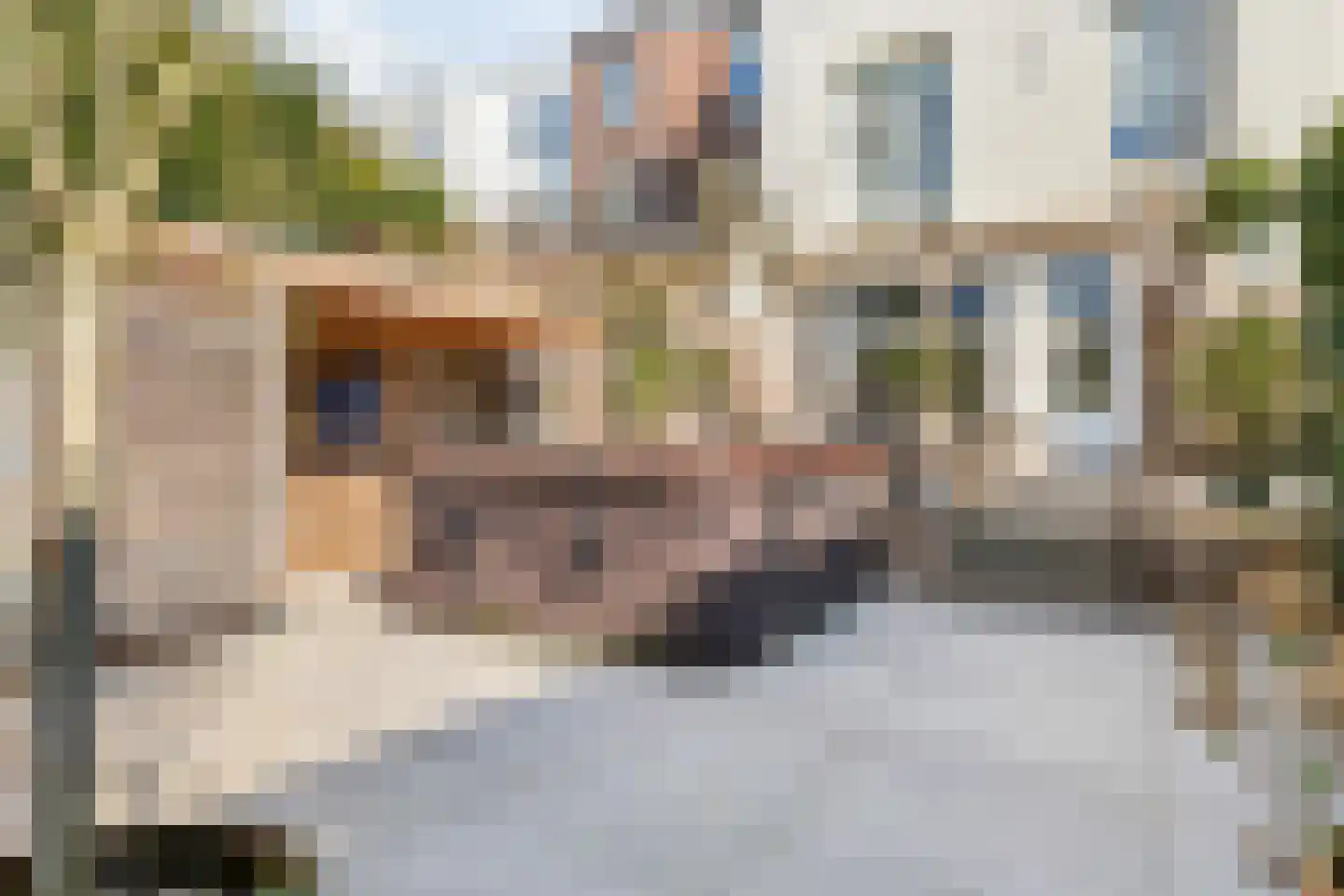Baronielaan 124 Breda thumbnail 63