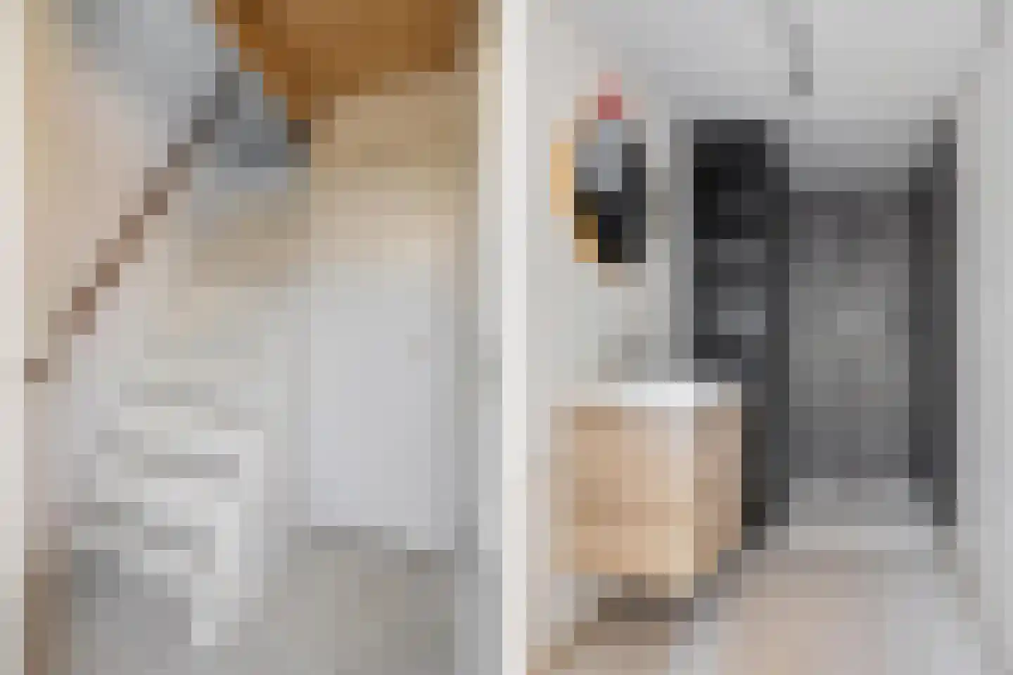 Baronielaan 124 Breda thumbnail 69