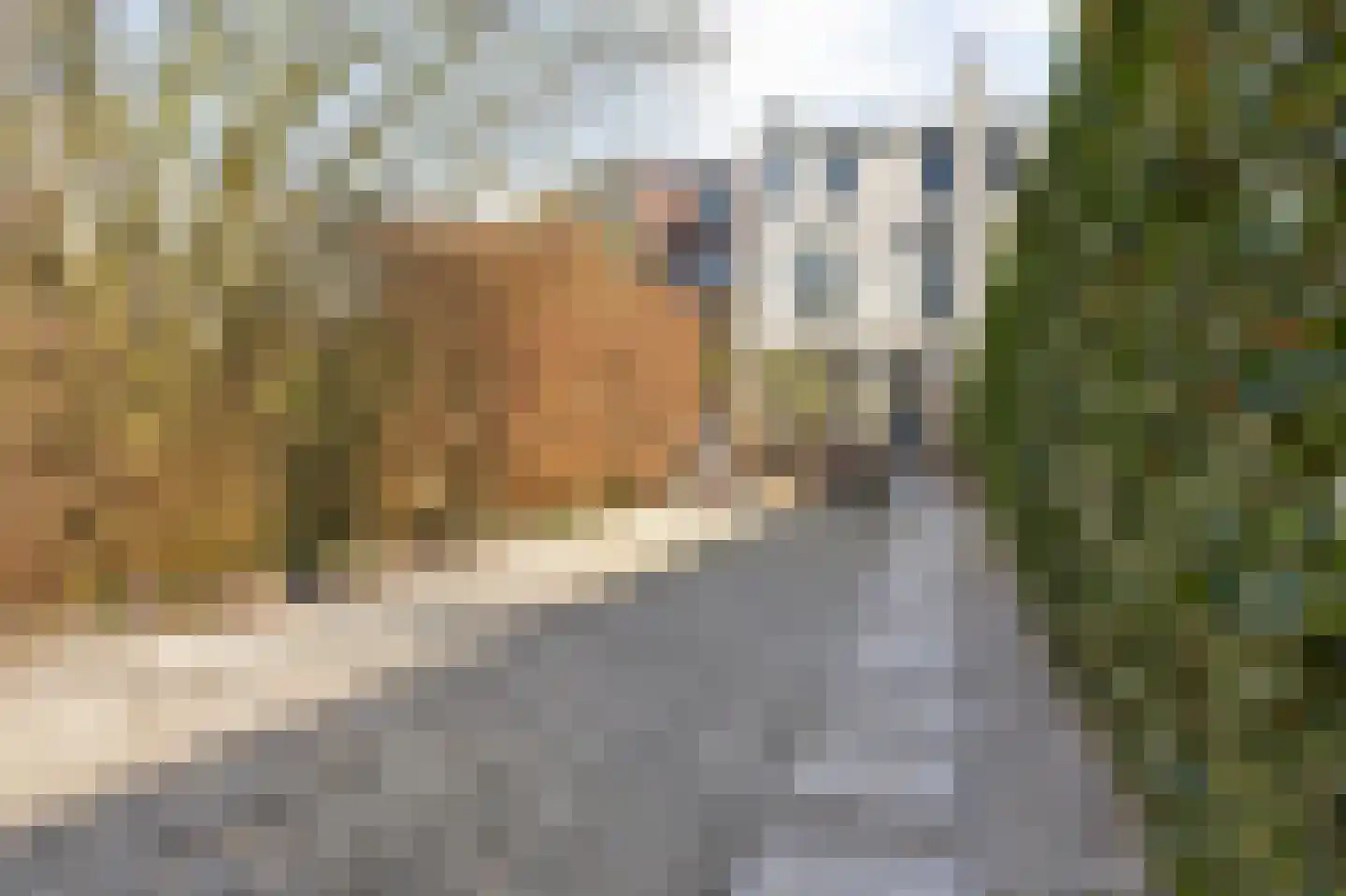 Baronielaan 124 Breda thumbnail 76