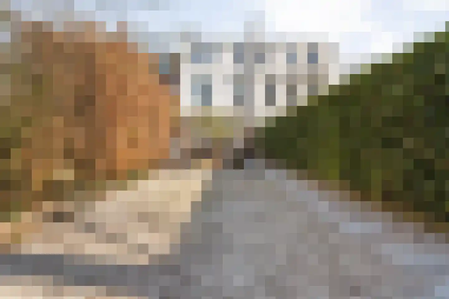 Baronielaan 124 Breda thumbnail 77