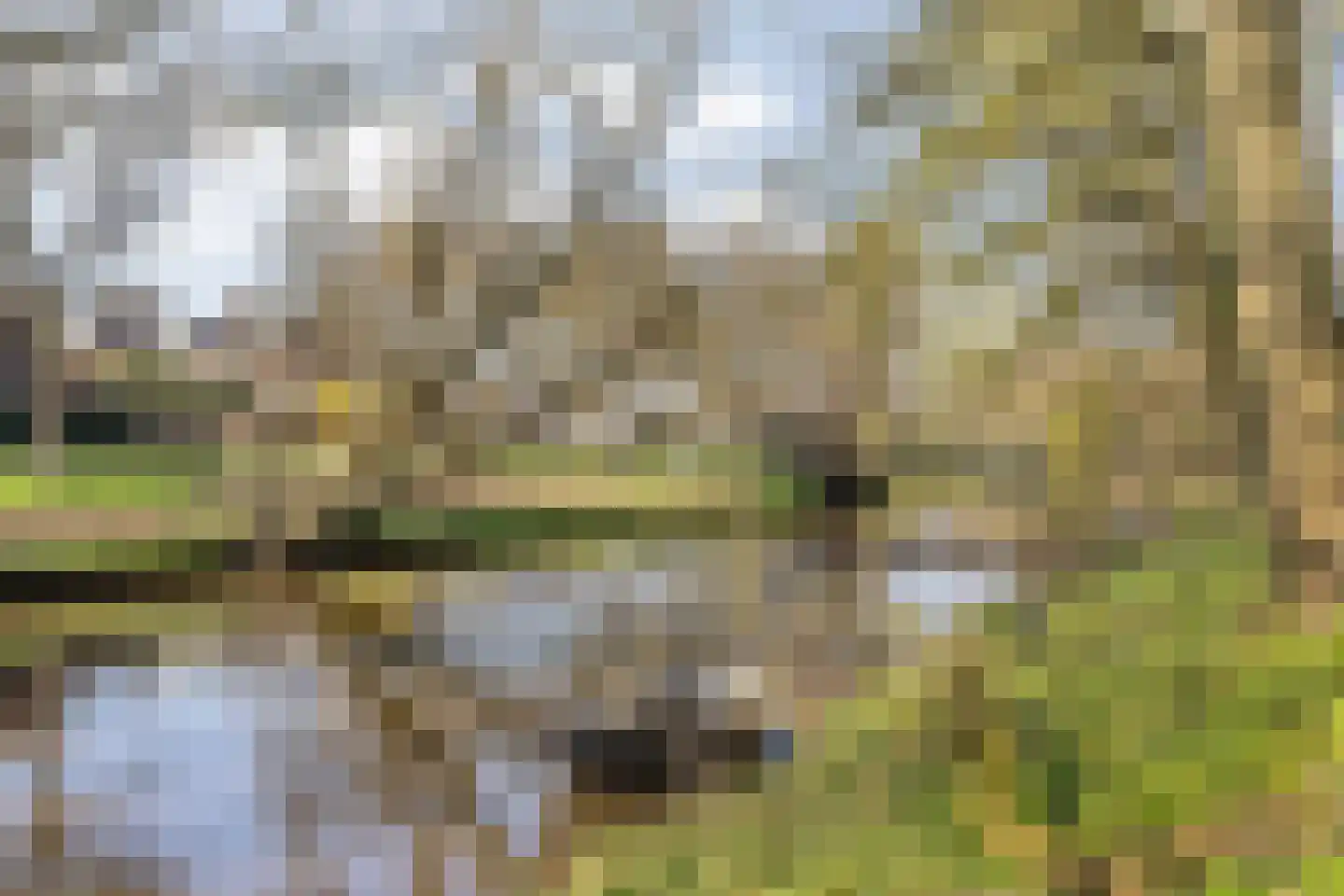 Baronielaan 124 Breda thumbnail 78