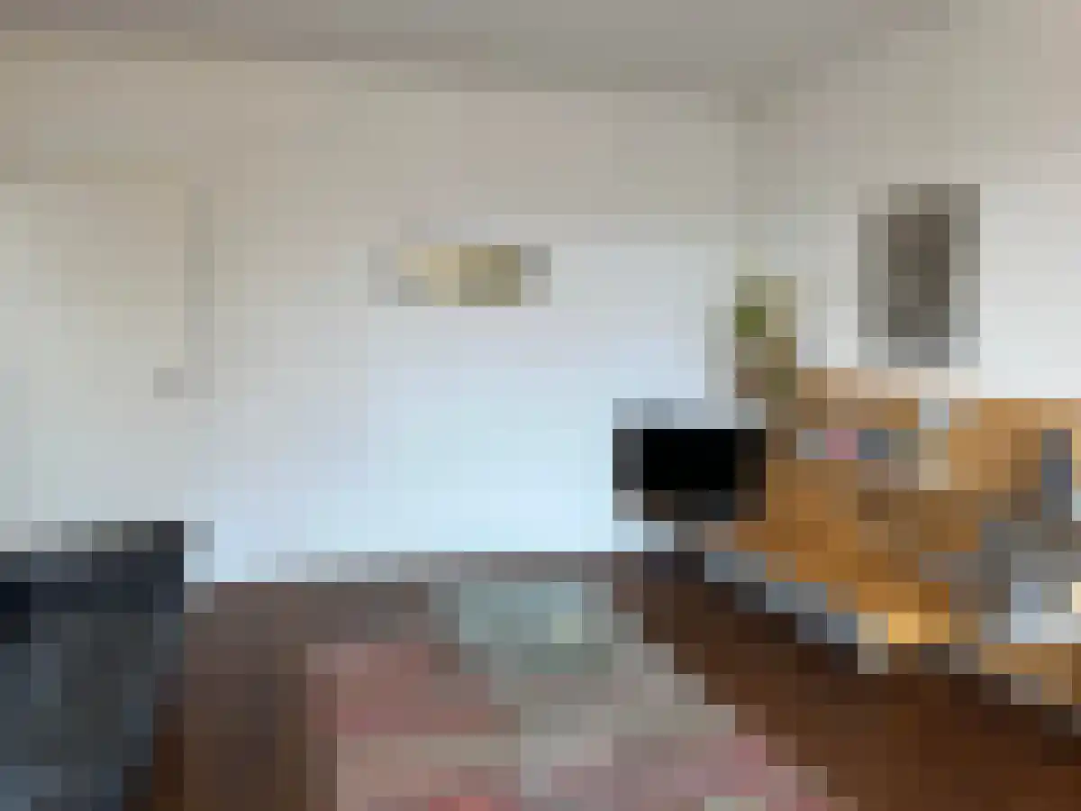 Baronielaan 125 Breda thumbnail 6