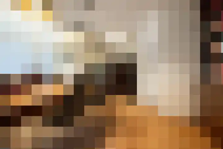 Baronielaan 135 Breda thumbnail 8