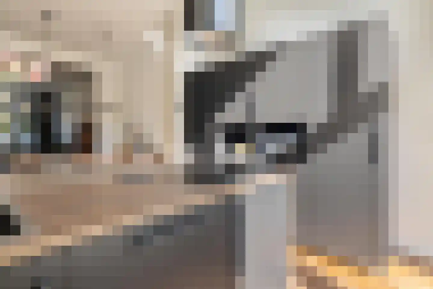 Baronielaan 139 Breda thumbnail 26