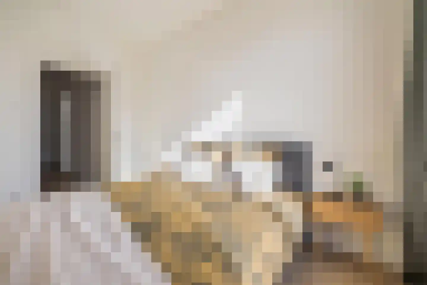 Baronielaan 139 Breda thumbnail 36
