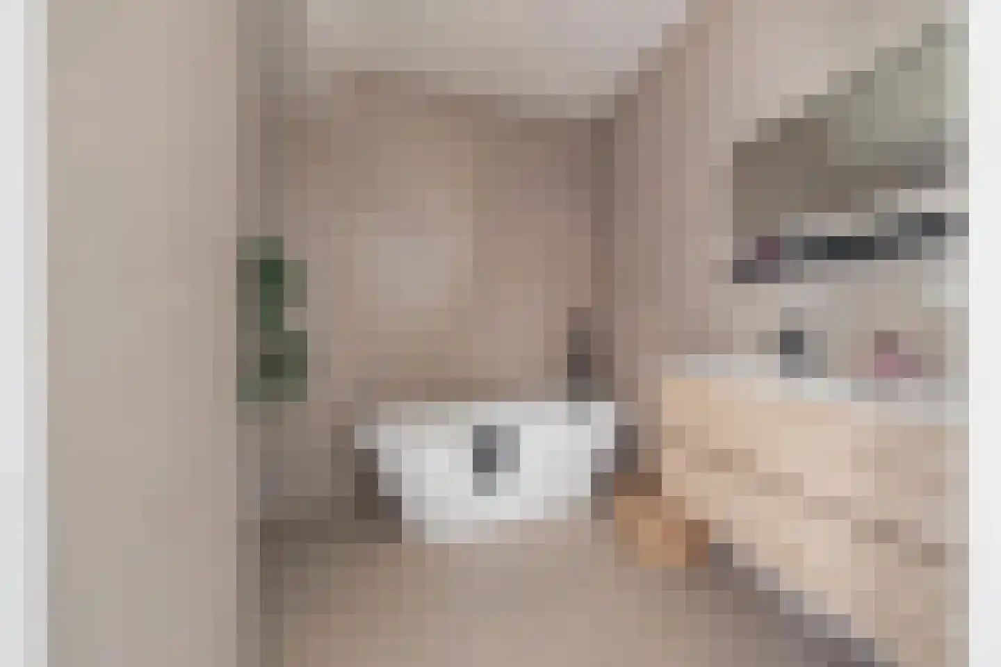 Baronielaan 139 Breda thumbnail 37