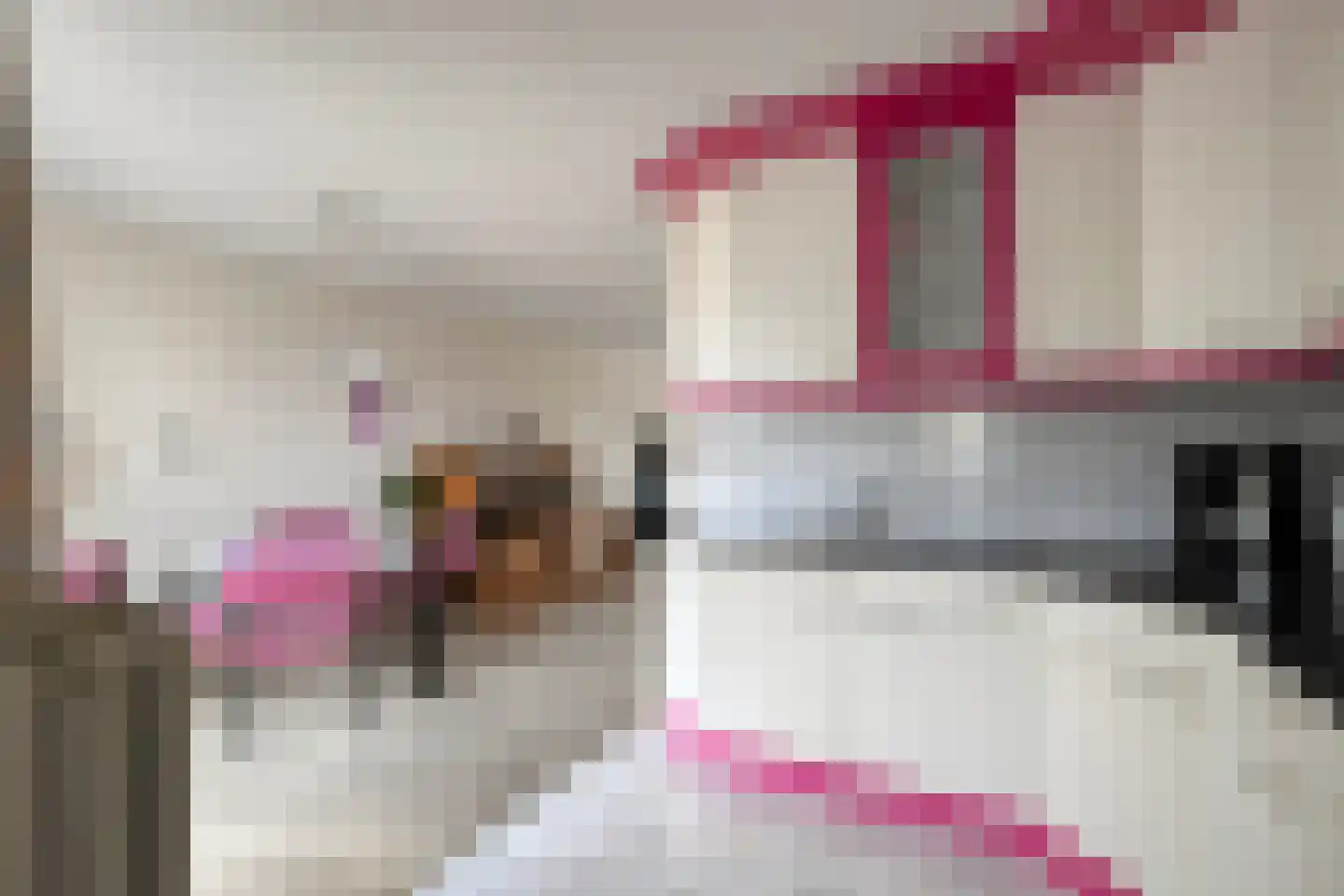 Baronielaan 14 Emmeloord thumbnail 18
