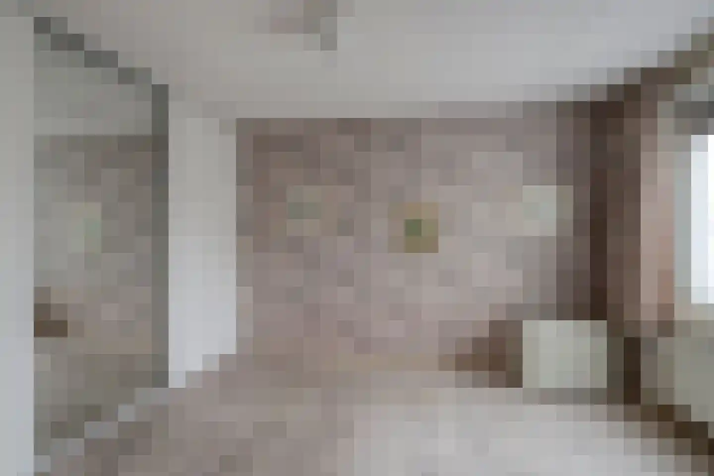 Baronielaan 14 Emmeloord thumbnail 20