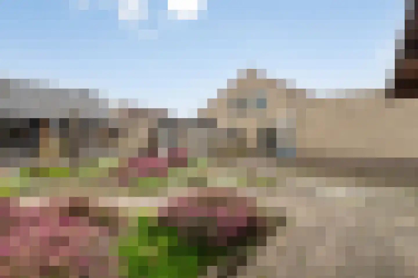 Baronielaan 14 Emmeloord thumbnail 29