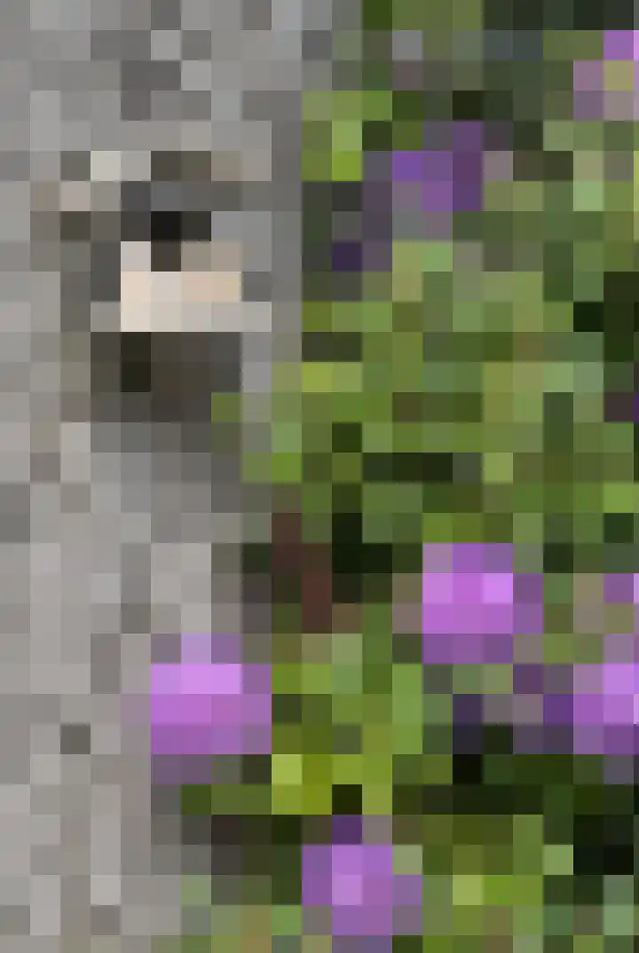 Baronielaan 15 Goirle thumbnail 14
