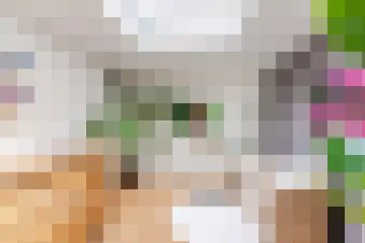Baronielaan 15 Goirle thumbnail 16