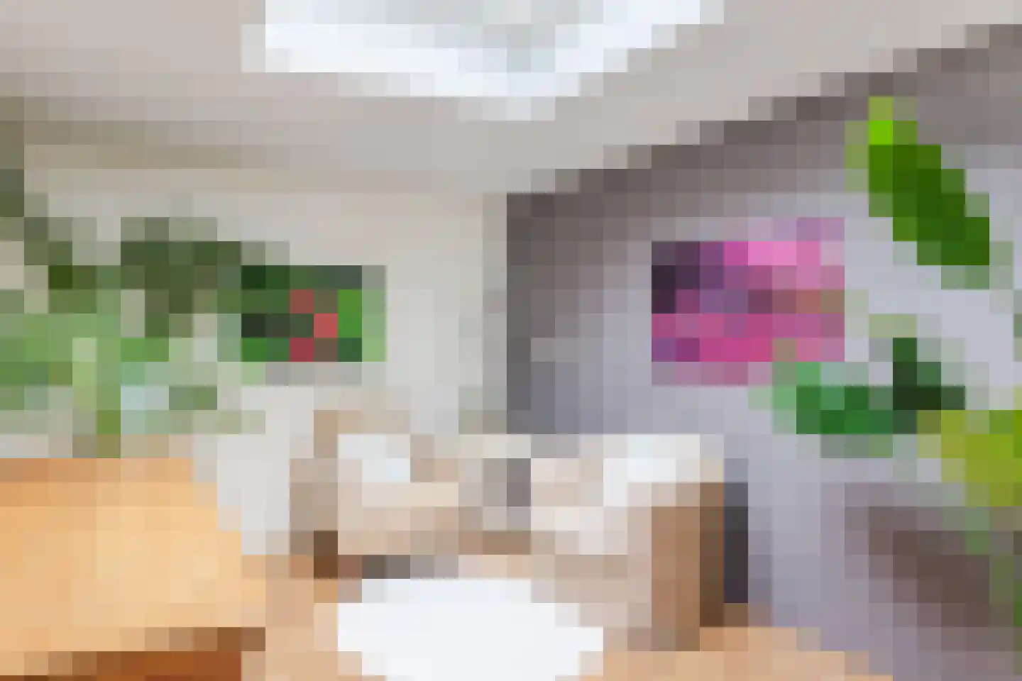 Baronielaan 15 Goirle thumbnail 17