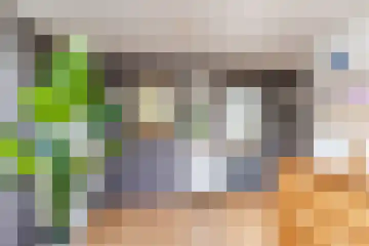 Baronielaan 15 Goirle thumbnail 18