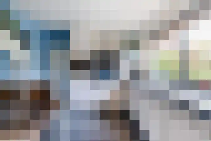 Baronielaan 15 Goirle thumbnail 21