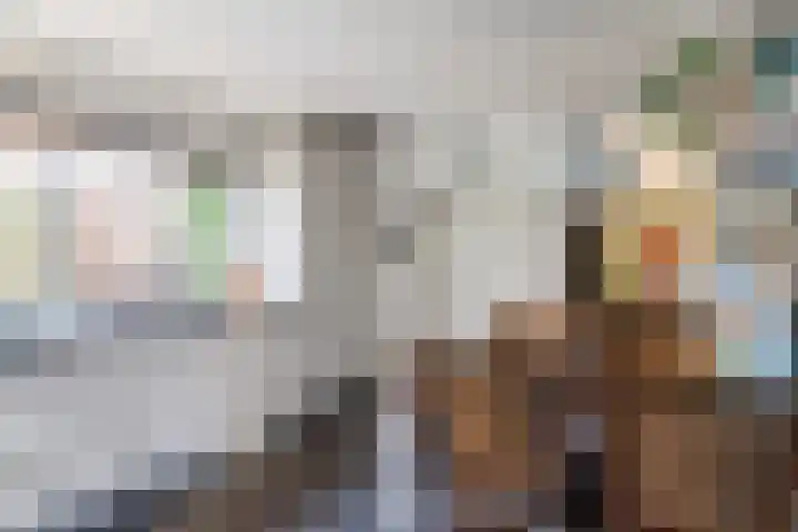 Baronielaan 15 Goirle thumbnail 24
