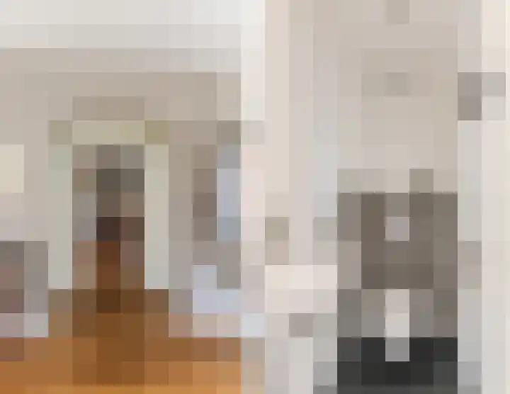 Baronielaan 15 Goirle thumbnail 26