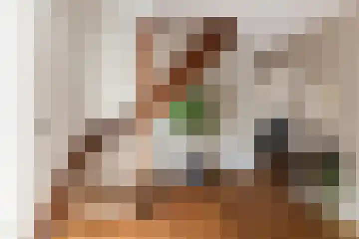 Baronielaan 15 Goirle thumbnail 28
