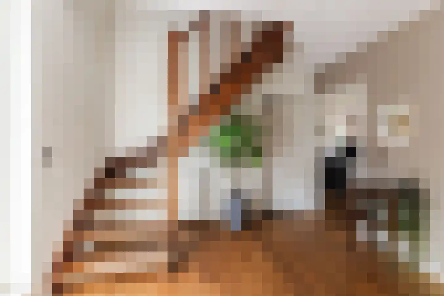 Baronielaan 15 Goirle thumbnail 28