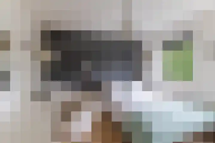 Baronielaan 15 Goirle thumbnail 30