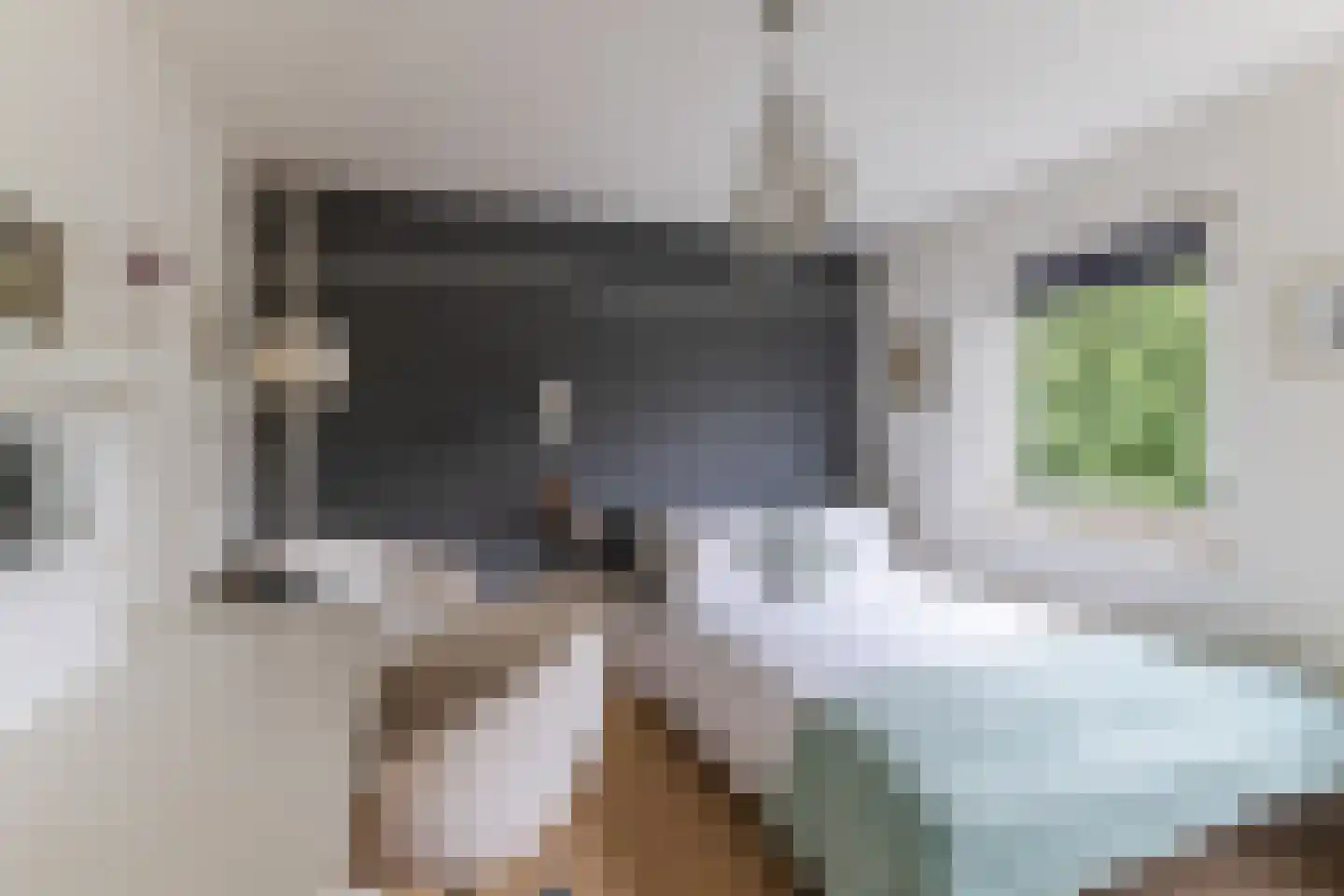 Baronielaan 15 Goirle thumbnail 30