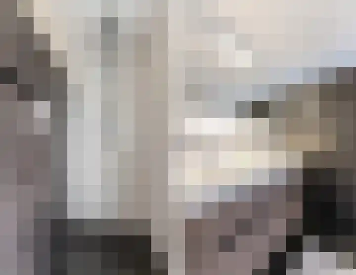 Baronielaan 15 Goirle thumbnail 41